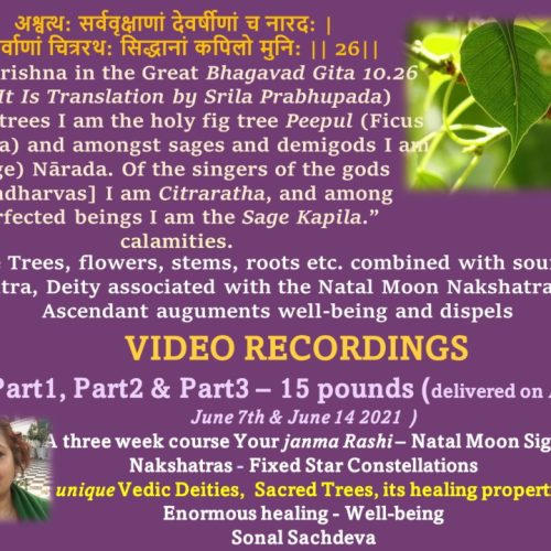 video_recordingflier video_recordingflier